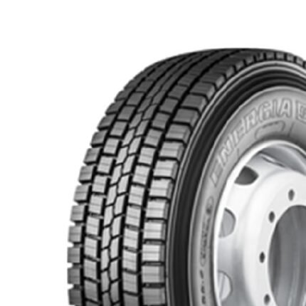295/80R22.5 152/148M Lassa Eg 5500 M+S 3PMSF 256633