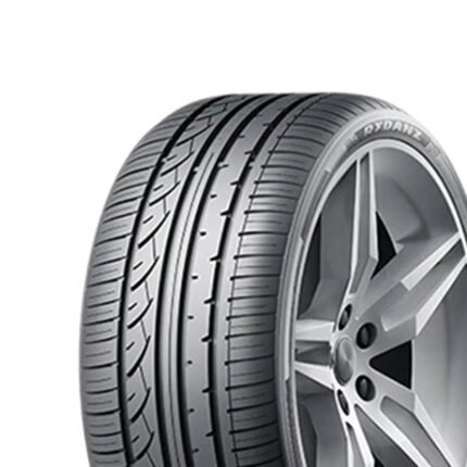 245/35R20 95W XL Rydanz Roadster R02 801564
