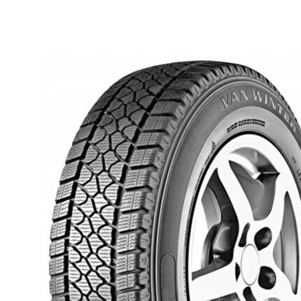 205/75R16c 110/108R Dayton Van Winter M+S D45108